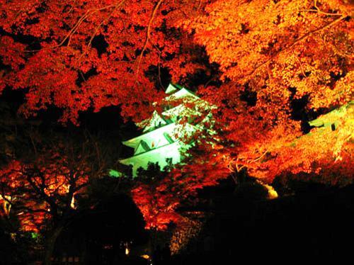 Asano Ryokan Ґудзьо Екстер'єр фото